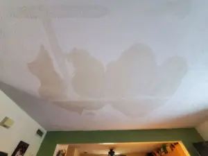 Ceiling water damage with large brown stains before restoration in Indianapolis home