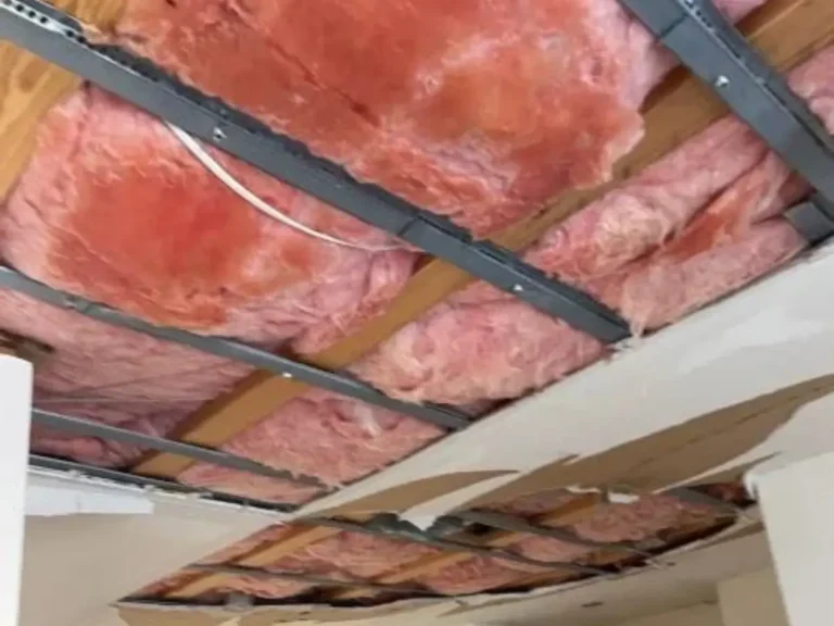 Before insulation replacement with ceiling drywall removed and fiberglass insulation exposed
