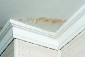 Brown water stains on a white ceiling near crown molding in the corner of a room.